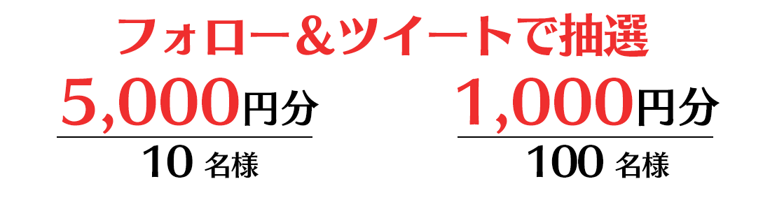 THE CHASER　TwitterキャンペーンheroSTEP画像